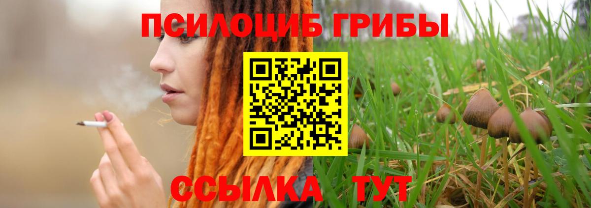 Псилоцибиновые грибы MAGIC MUSHROOMS  Псилоцибиновые грибы GOLDEN TEACHER  Вход с VPN  Шадринск 
