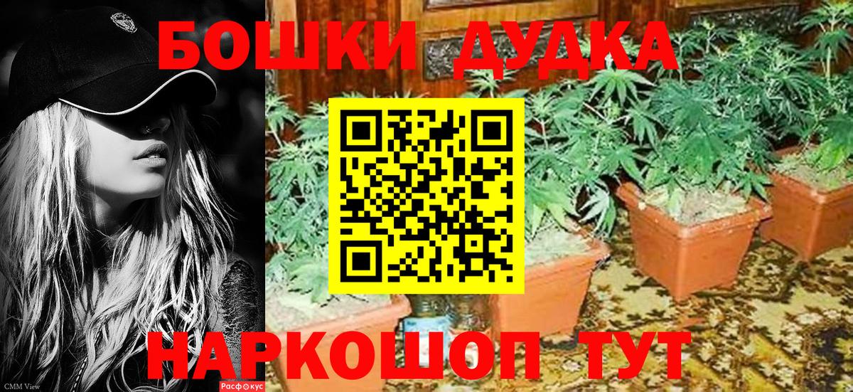 Шадринск  Бошки марихуана конопля  Каннабис White Widow  Бошки марихуана Amnesia  Бошки Шишки AK-47  Вход с VPN 